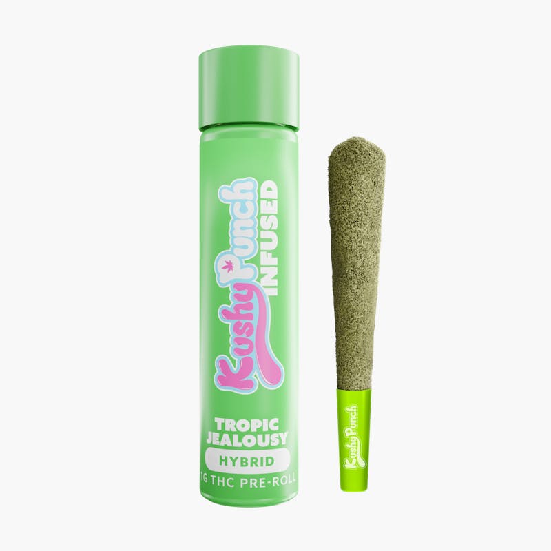 Kushy Punch Infused 1G THC pre-roll